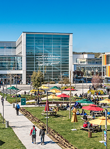 Özyeğin Üniversitesi