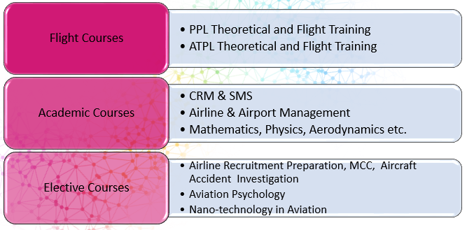 Proffessional Flight Program